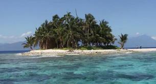 Una especie animal, en peligro por culpa de 'Supervivientes'