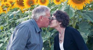 Plantó 400 girasoles para homenajear a su esposa fallecida