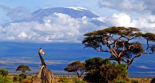 Supervivientes al cáncer de mama subirán al Kilimanjaro