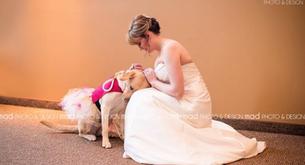 Esta novia llevo a su perra al altar para sentirse más tranquila