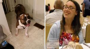 Un pitbull mata a su dueña una semana después de ser adoptado