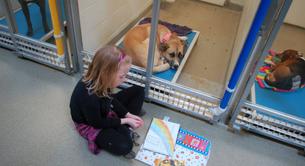 Estos niños leen cuentos a los perros de un refugio para que estén tranquilos