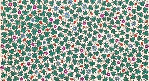 El reto del momento: encuentra el trébol de cuatro hojas en este dibujo