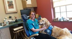 Este perro trabaja relajando a los niños que van al dentista
