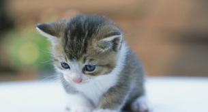 Su ginecólogo no podía creer lo que le estaba provocando un fuerte dolor en la vagina