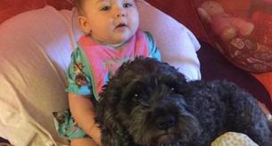 El valiente perro que dio su vida por salvar a un bebé