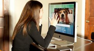 Ya puedes hacer una videollamada a tu perro cuando esté solo en casa
