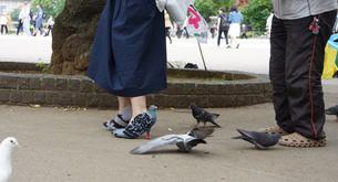 Los zapatos paloma que han hecho alucinar a las redes sociales