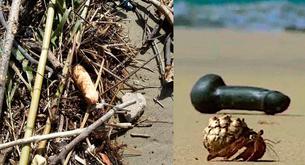 Una playa italiana se llena de dildos de forma misteriosa