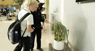 IKEA explica el acoso escolar con dos plantas y el resultado es fascinante