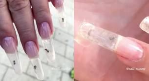 La red está indignada por esta manicura con hormigas vivas
