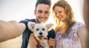 Cómo convencer a tu pareja de tener gato, perro u otra mascota