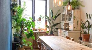 Decoración nórdica: Lifestyle escandinavo para tu hogar